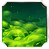 Rot Pool